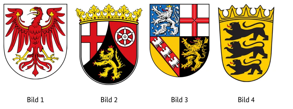 Abbildungen zu Aufgabe 1