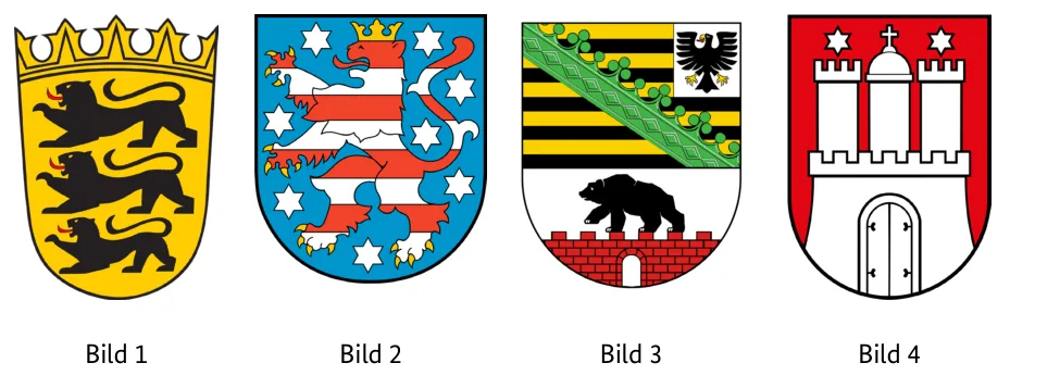 Abbildungen zu Aufgabe 1