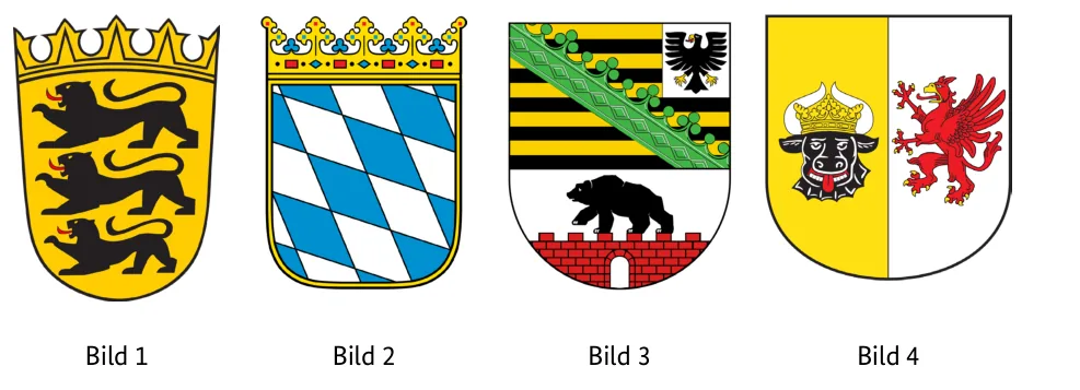Abbildungen zu Aufgabe 1