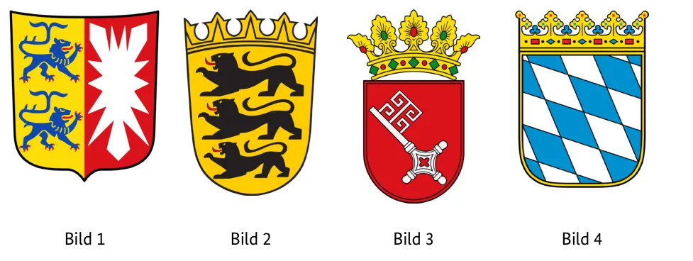 Abbildungen zu Aufgabe 1