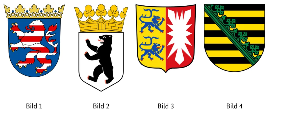Abbildungen zu Aufgabe 1