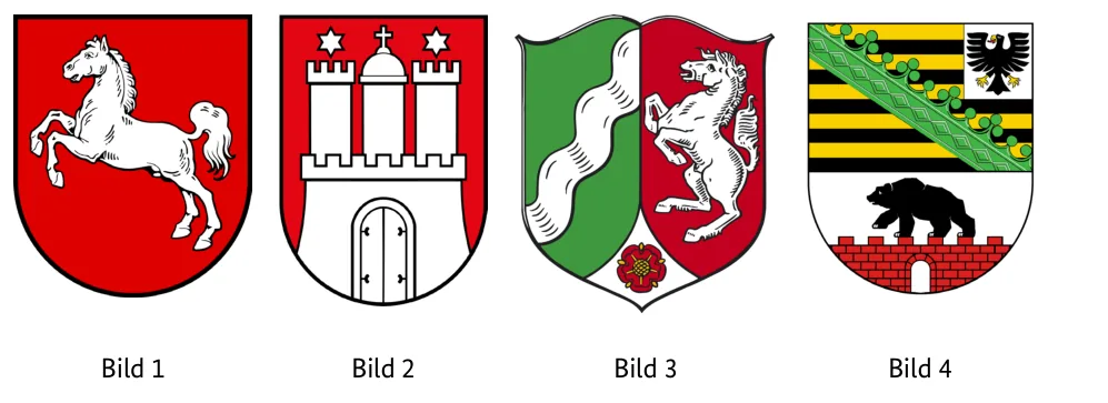 Abbildungen zu Aufgabe 1