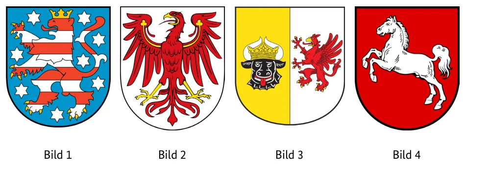 Abbildungen zu Aufgabe 1
