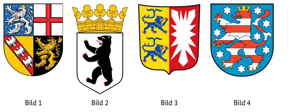 Abbildungen zu Aufgabe 1