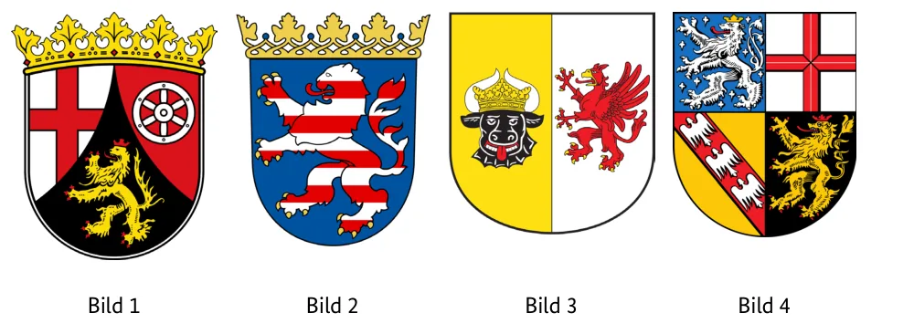 Abbildungen zu Aufgabe 1