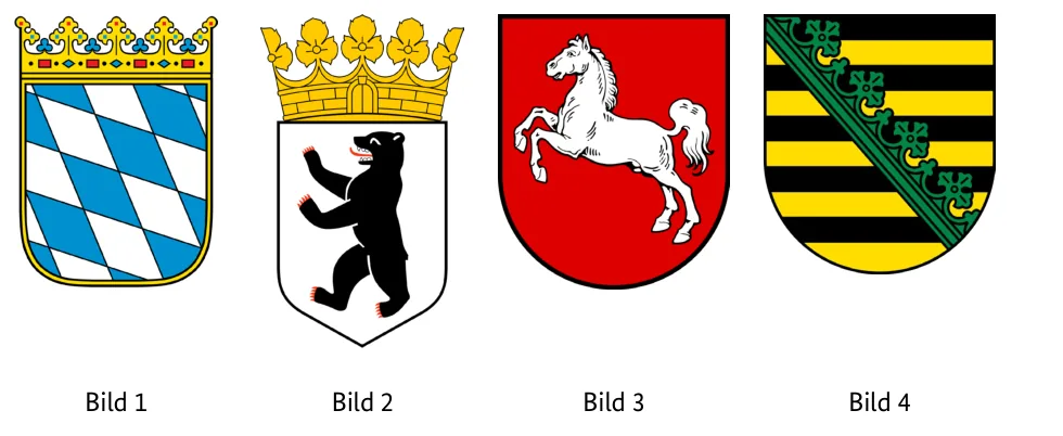 Abbildungen zu Aufgabe 1