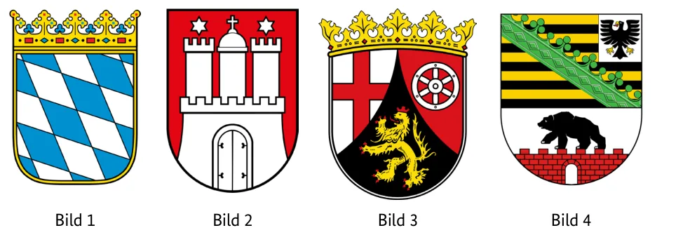 Abbildungen zu Aufgabe 1